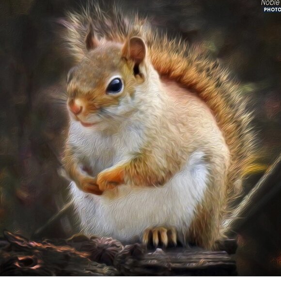8x10 Squirrel Photography Cute Squirrel Oil Painting Print‎ - Picture 2 of 3